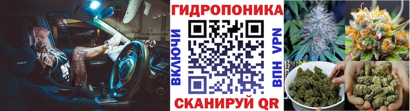 Каннабис OG Kush  купить  сайты  hydra как зайти  Дубовка 